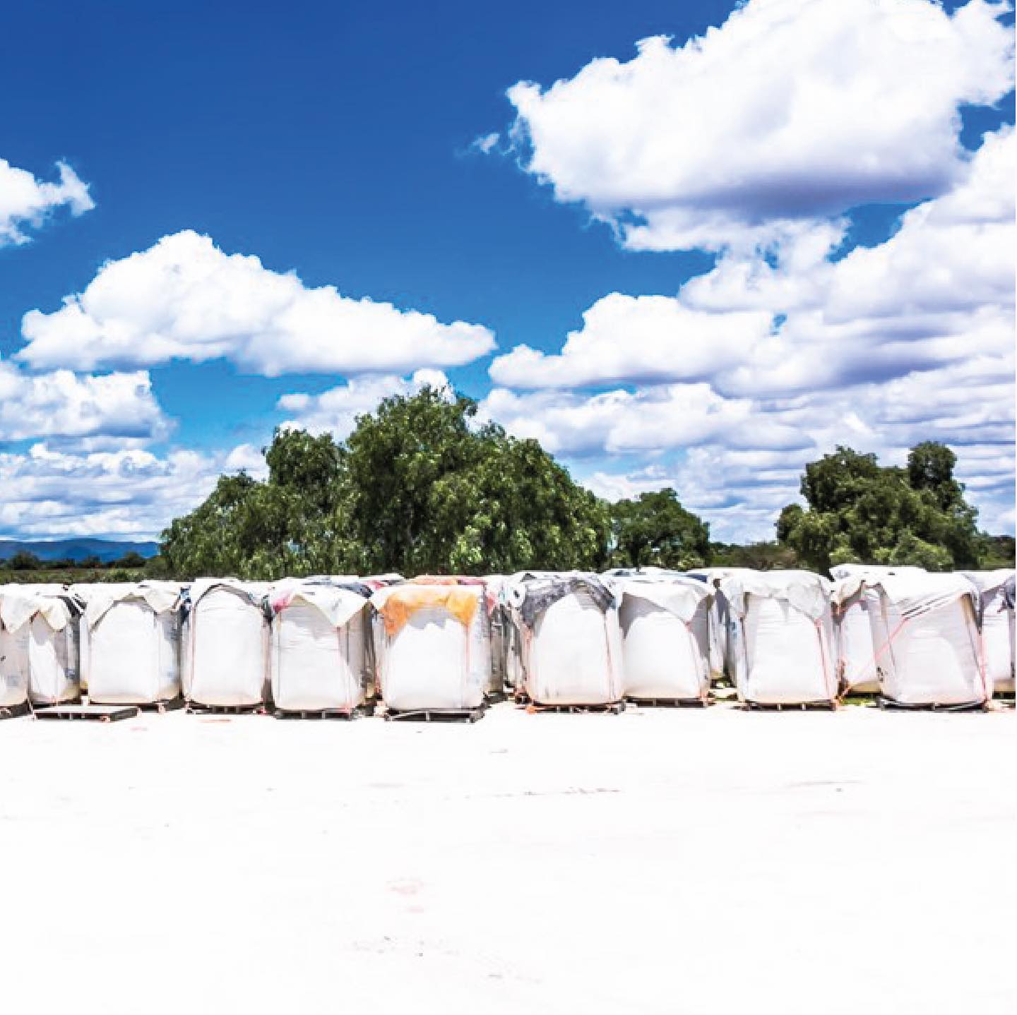 báscula y ensacado en planta propia