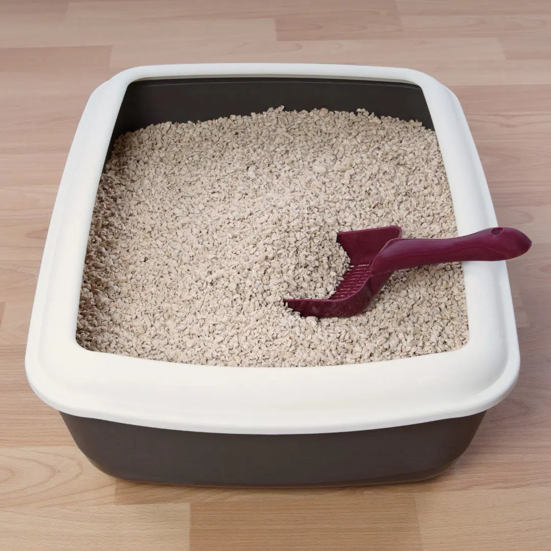 envasado de granulado para cama sanitaria en planta propia